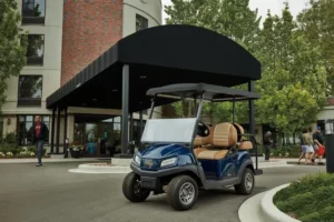 Lithium Golf Cart Batteries: A High-Performance...