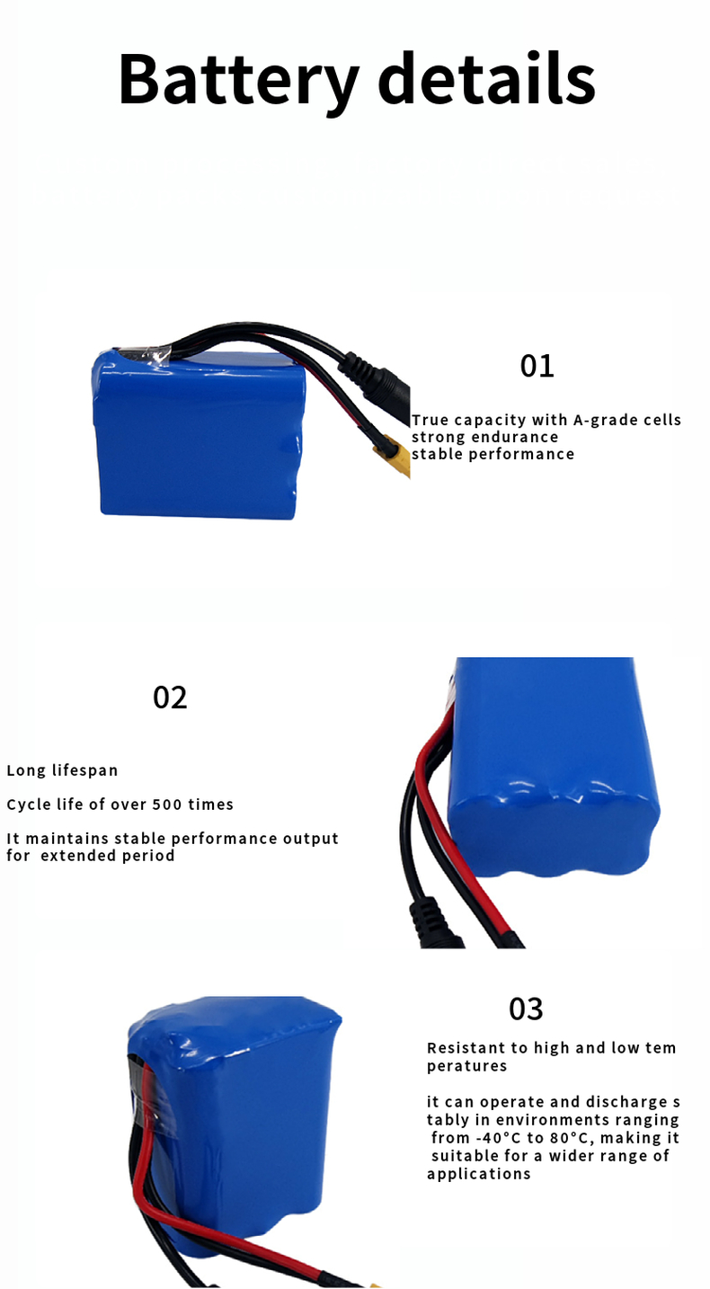 12V 4400 mah Lithium ion 3s2p 18650 Battery Pack details