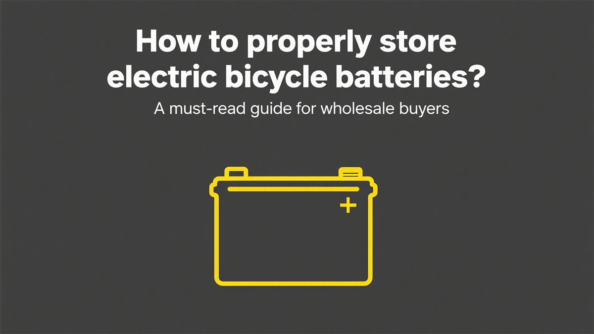 How to Store eBike Battery Properly? A Must-Read Guide for Wholesalers