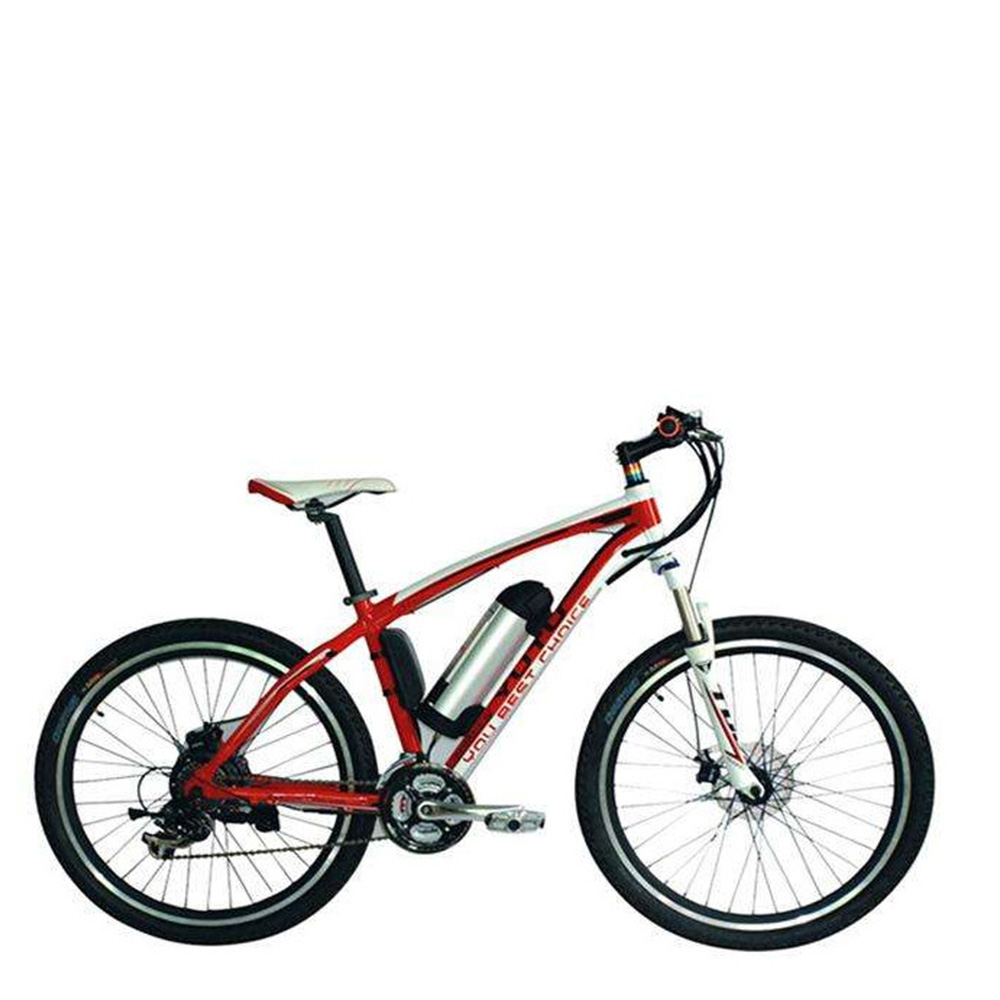 36V 10Ah Lightweight Lithium Battery for Electric Bicycle